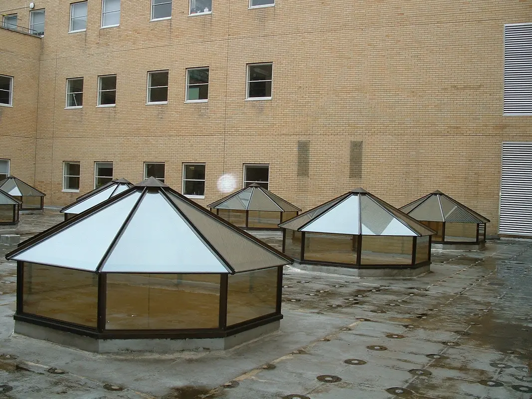 Flat Roof Skylights Chelsea